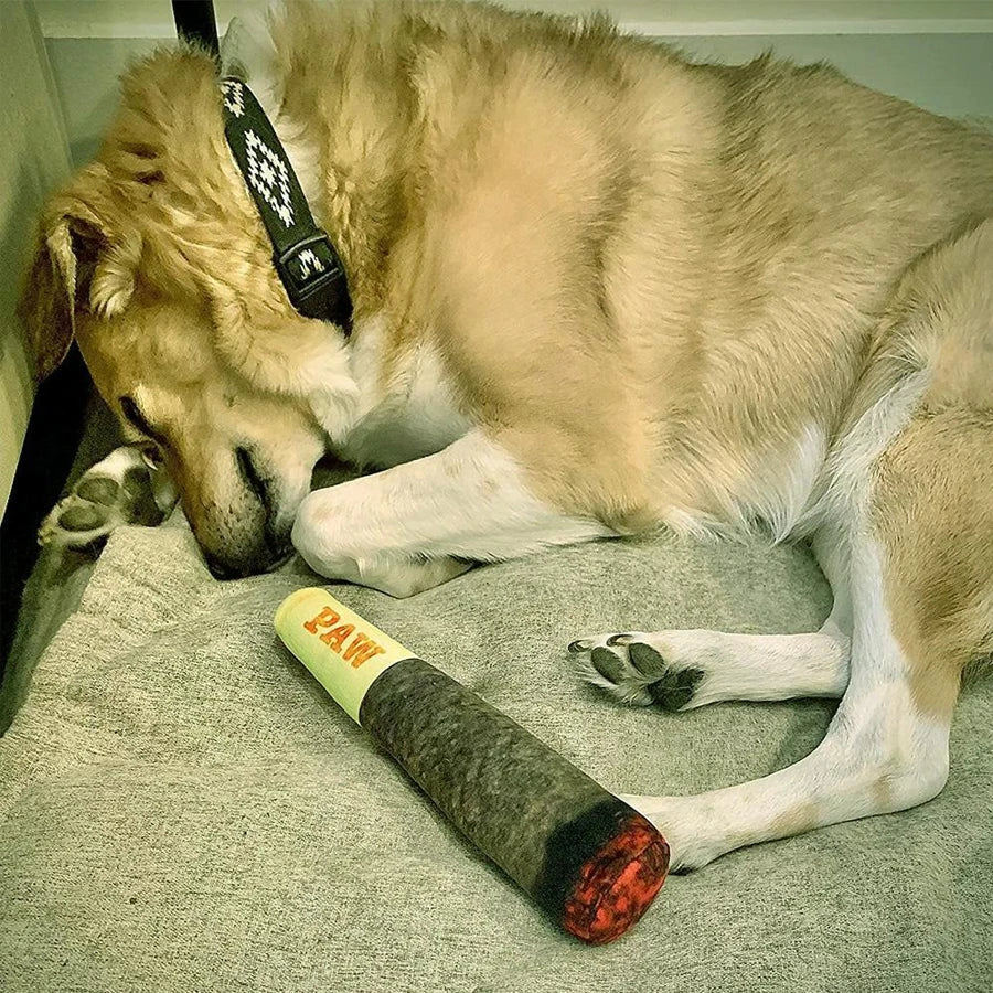 Funny Interactive Cigar Design Dog Toy Squeaky Chew