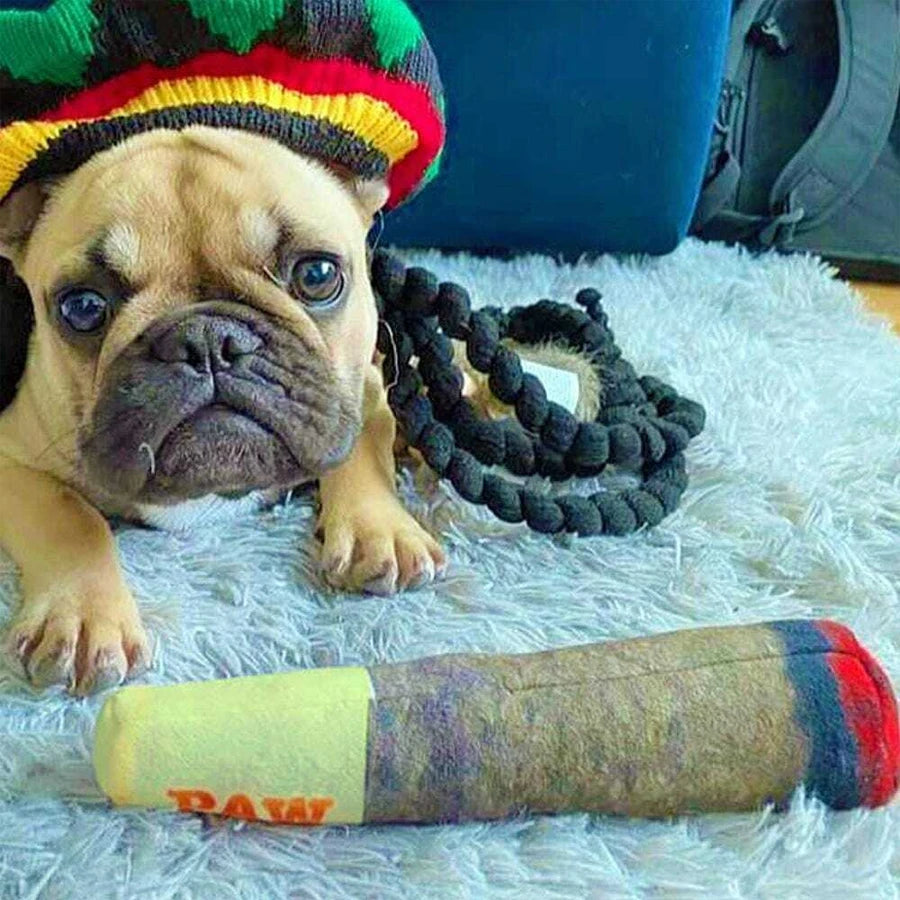 Funny Interactive Cigar Design Dog Toy Squeaky Chew