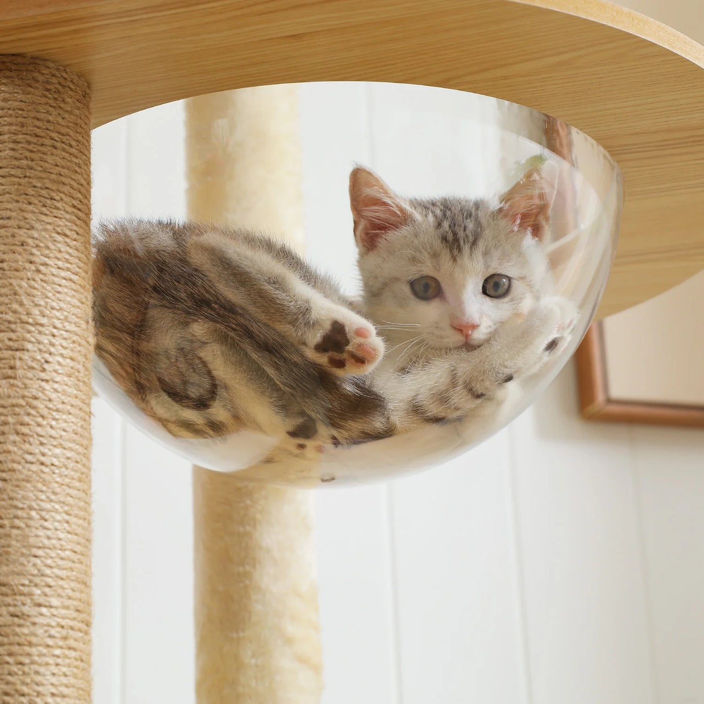 PAWZ Road Multi Level Cat Tree With Scratching Posts
