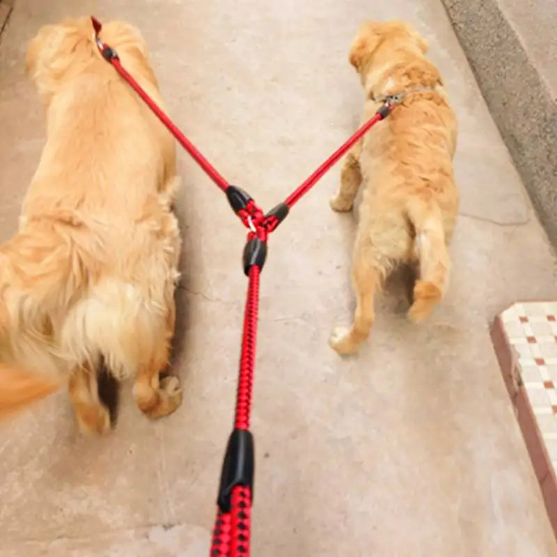 NONECN Elastic Double Dog Leash With Two-Way Couplers